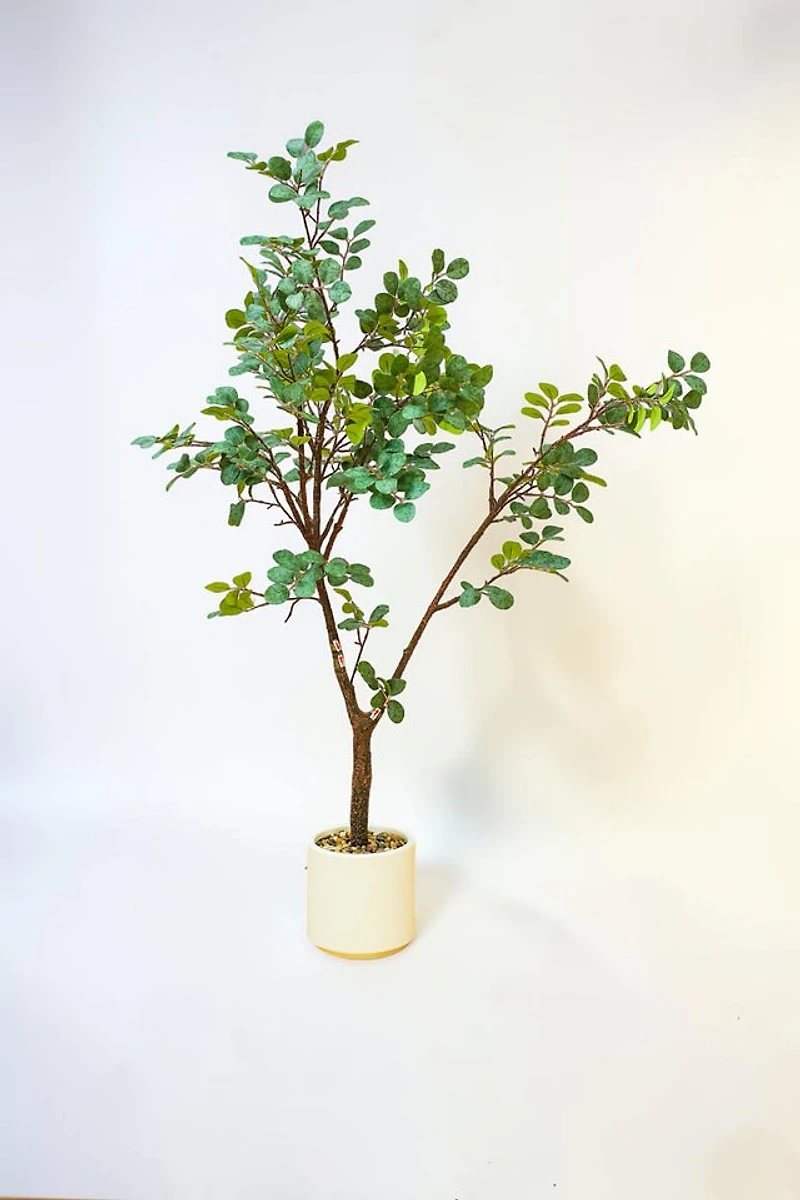 Plant w/pot 120cm Fosted Green