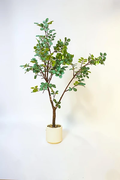 Plant w/pot 120cm Fosted Green