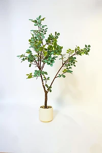 Plant w/pot 120cm Fosted Green