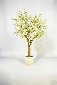 Cherry Blossom w/pot 300cmWhite