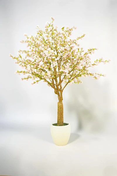 Cherry Blossom w/pot 300cm Pink