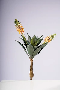 25" AGAVE PLANT W/ 2 FLOWERS GOLD/YELLOW