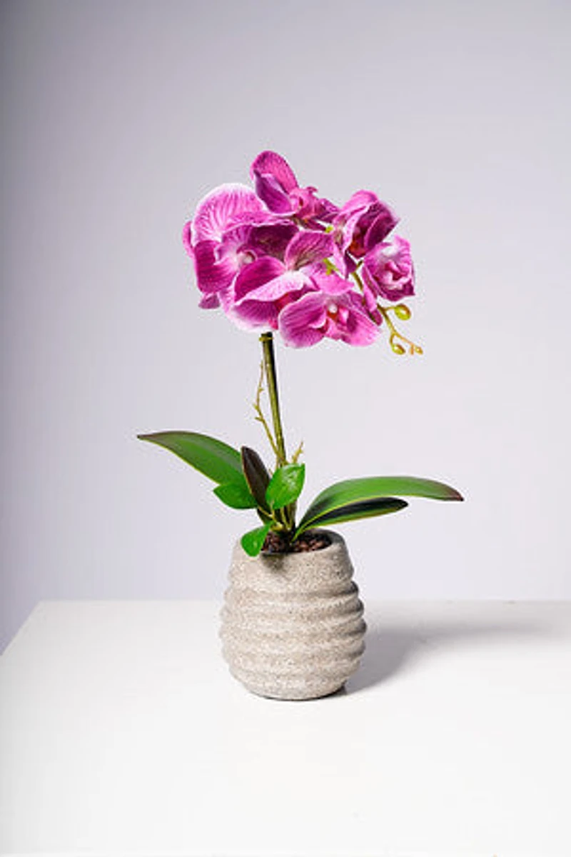 17" PHALAENOPSIS ORCHID PURPLE
