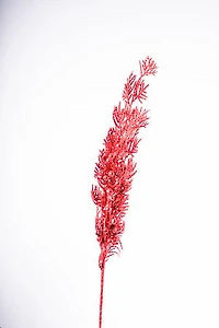 35" Palms Berries Foliage