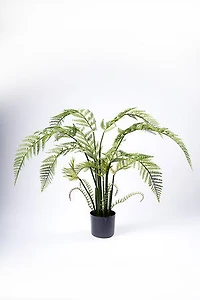120CM FERN PLANT ON POT