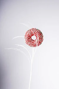 20" Donut - Red