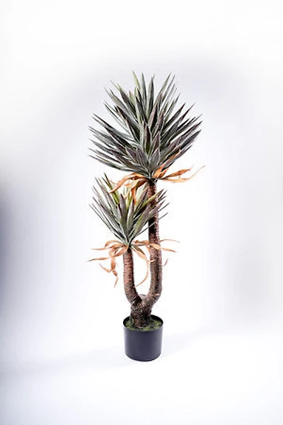 56" Agave Plant on Pot