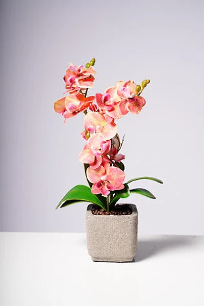 16" PHALAENOPSIS ORCHID ORANGE