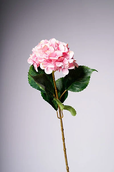 31" HYDRANGEA ROSE