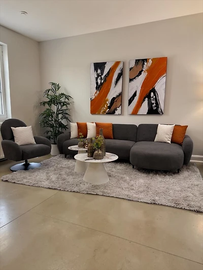 Camila Butaca & Sofa Set/2 - Dk. Grey