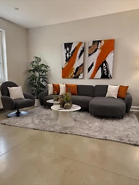 Camila Butaca & Sofa Set/2 - Dk. Grey