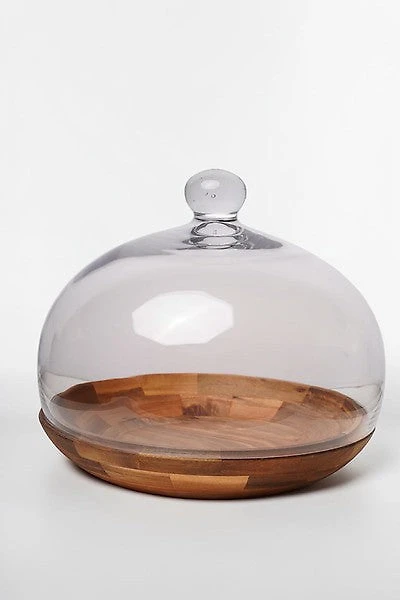 Dome on Acasia Wood Base