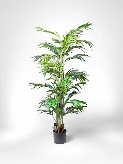 59" Palm Tree