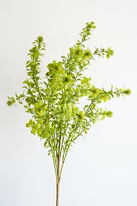 Flower Bunch Green