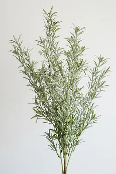 Green Foliage