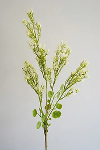 Cream Flower Bunch