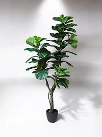 5' FIDDLE TREE