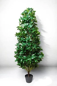 LAUREL PLANT 180CM