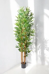 BAMBOO PLANT 180CM