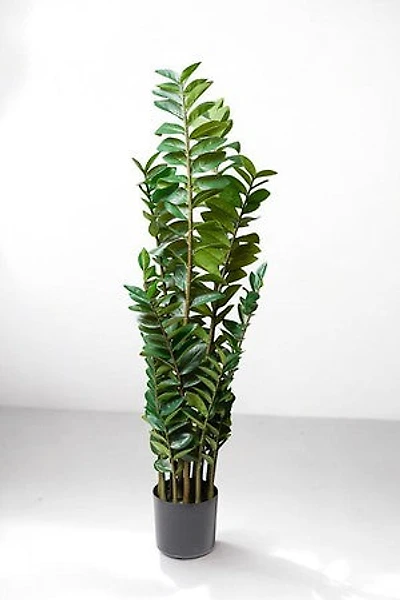ZAMIOCULCAS PLANT 130CM