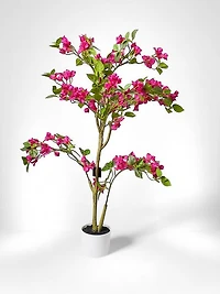 43" Bougainvillea Tree Color Fushia