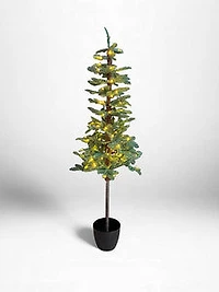 5' Christmas w/Black Pot Tree 80 Lights Clear