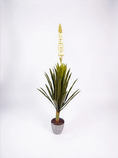 Foxtail Orchid 140cm
