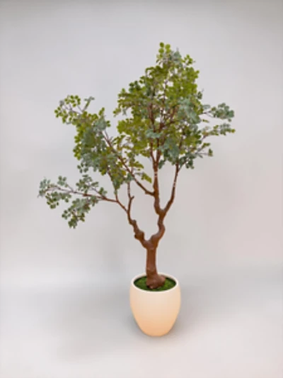 Plant w/pot 260cm Fosted Green
