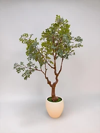 Plant w/pot 260cm Fosted Green