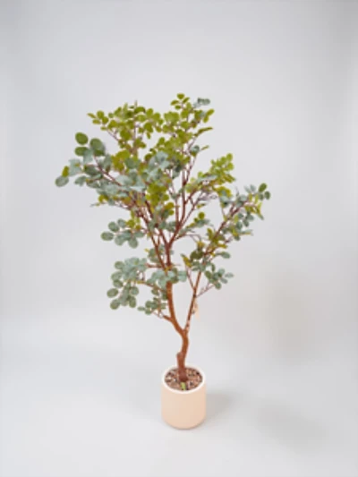 Plant w/pot 150cm Fosted Green