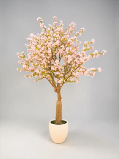 Cherry Blossom w/pot 300cm Pink