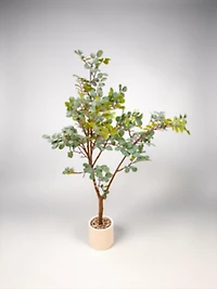 Plant w/pot 120cm Fosted Green