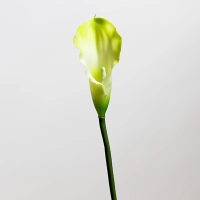 Calla Lily Cream/Green - Tropics Collection