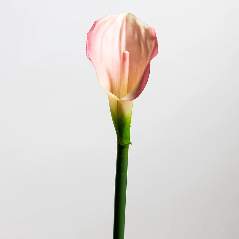 Calla Lily Pink Medium - Tropics Collection