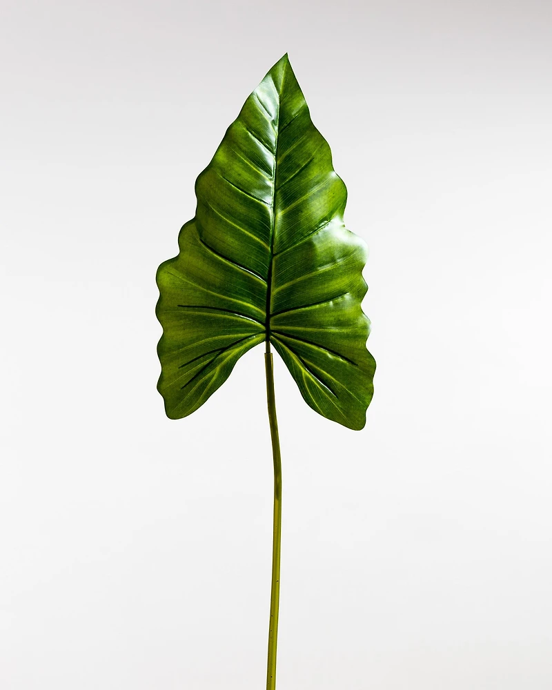 Calla Leaf Green - Tropics Collection