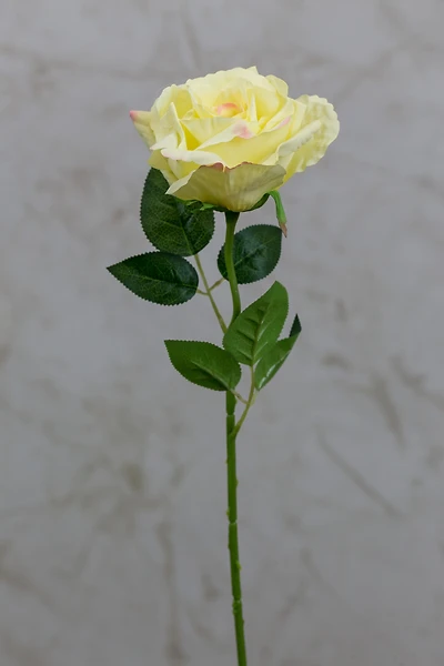 16" Bourbon Rose Yellow