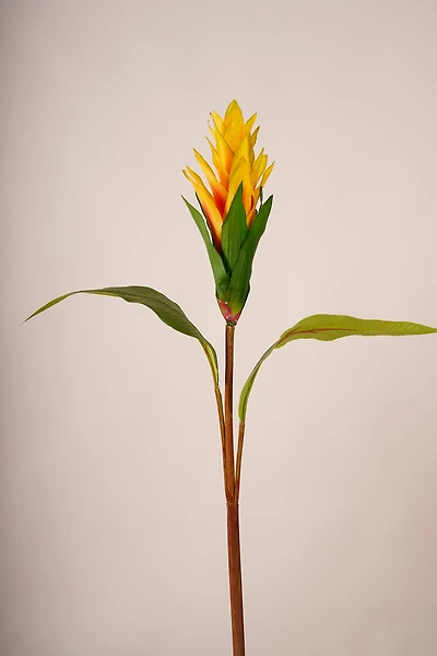 Tropical Flower Color J7 Red/Green