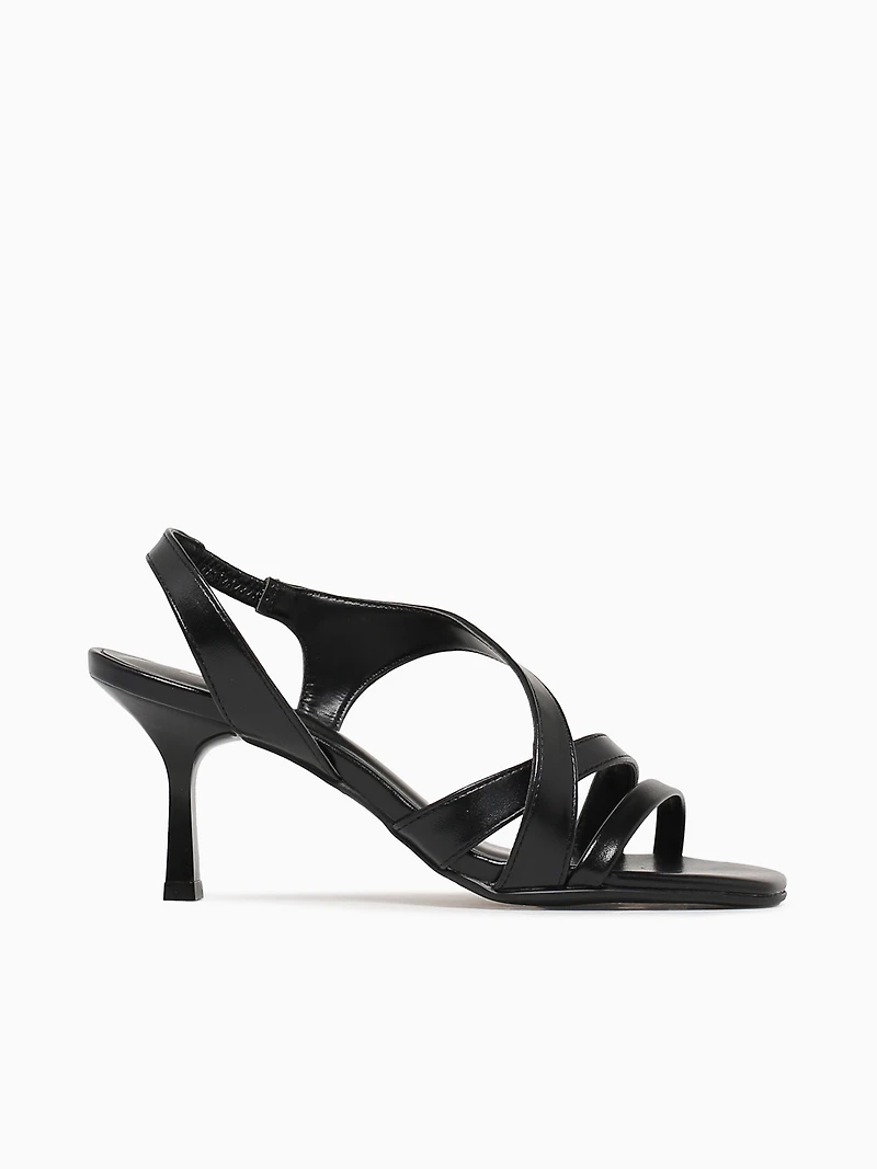 Baccia Preto Napa