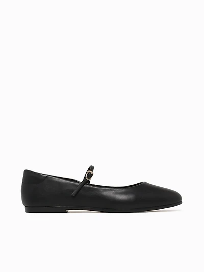 Circe Preto Mestico