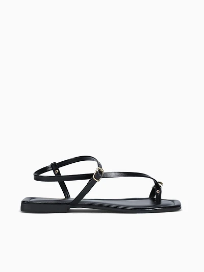 Xara Preto Napa