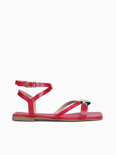 Nora Ferrari Molhado