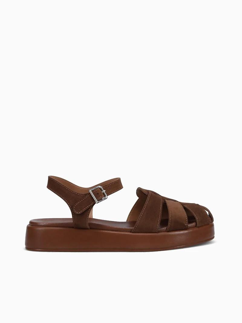 Ireline Marrom Bloom