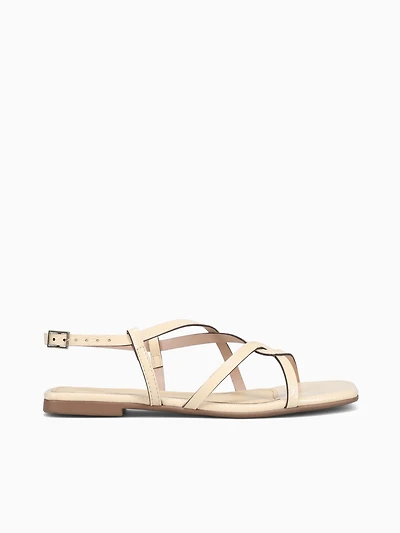 Cammie Butter Verniz Molhado