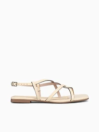 Cammie Butter Verniz Molhado