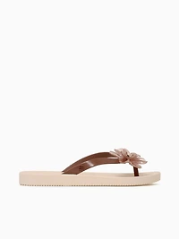 Zaxy Summer Coffee Brown jelly