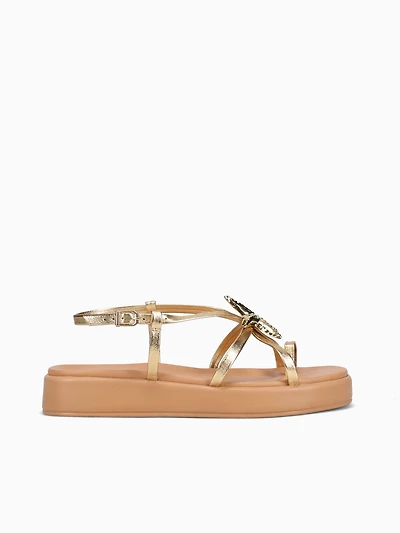 Aureline Ouro Estela