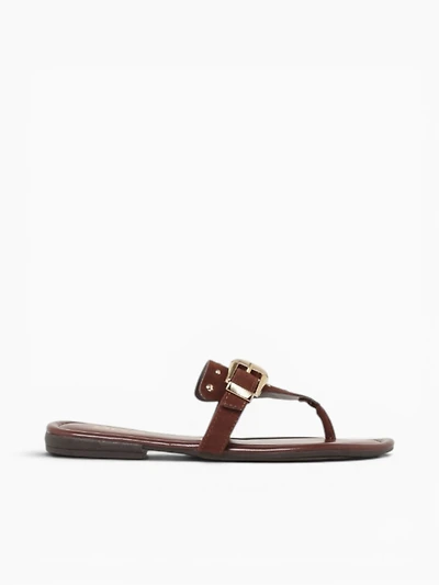 Celestia Terra Suede