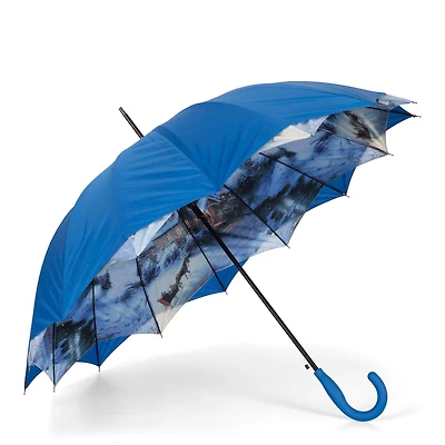 Parapluie long