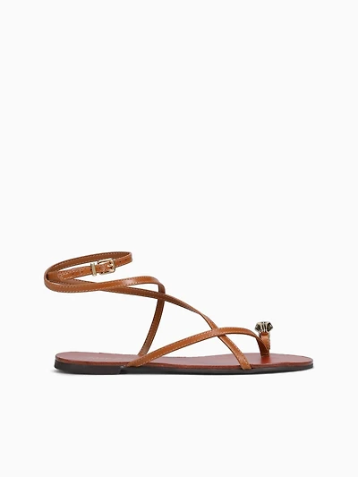 Aminah Warm Almond Caseina