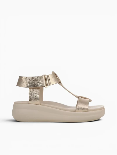 Cersei Light Champagne